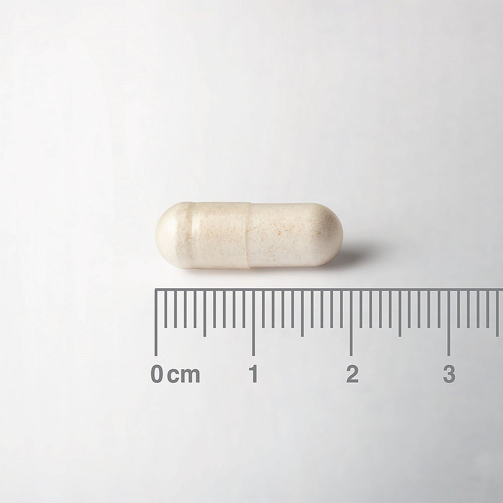 Probiotic capsules Probioguard - Lamberts Baltic